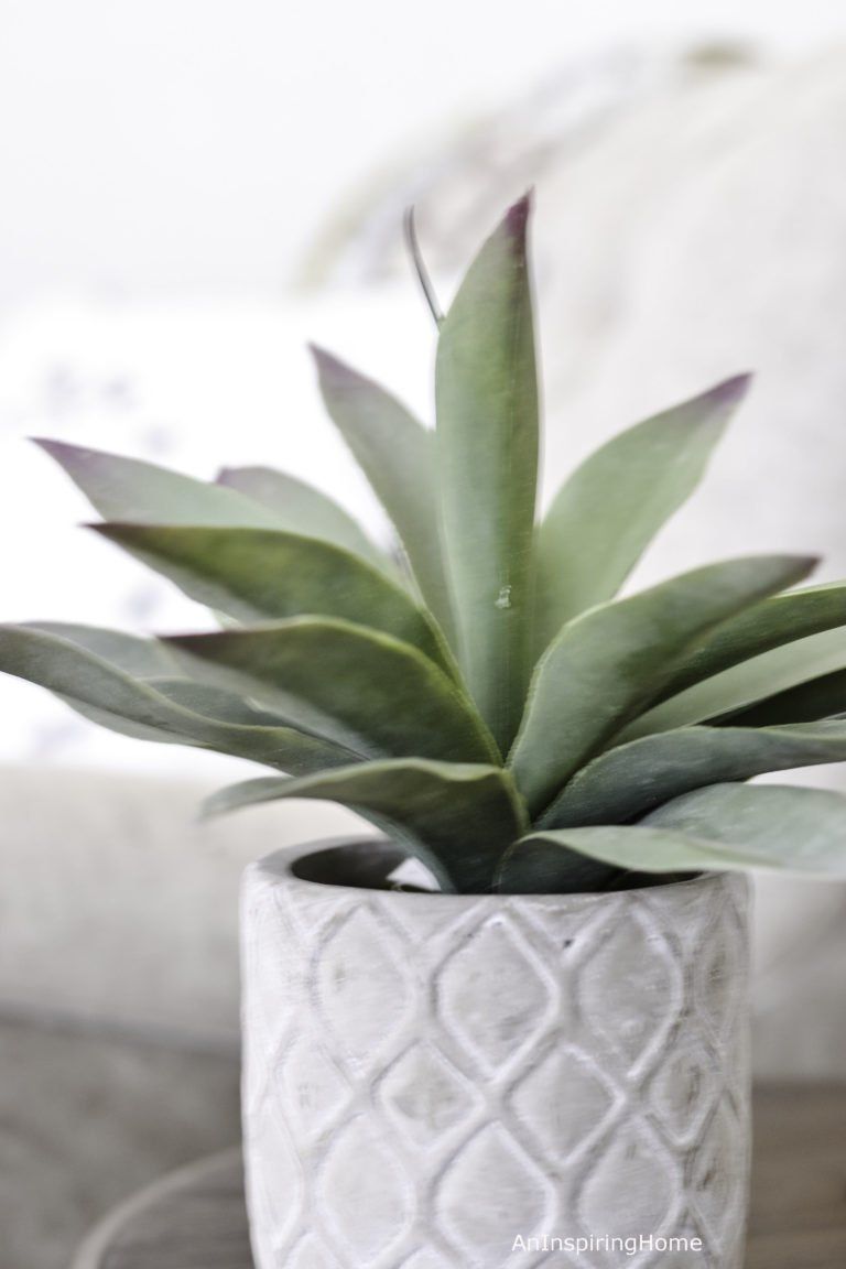 Casual Modern Farmhouse Living Plant | Charlotte & Waxhaw | An Inspiring Home