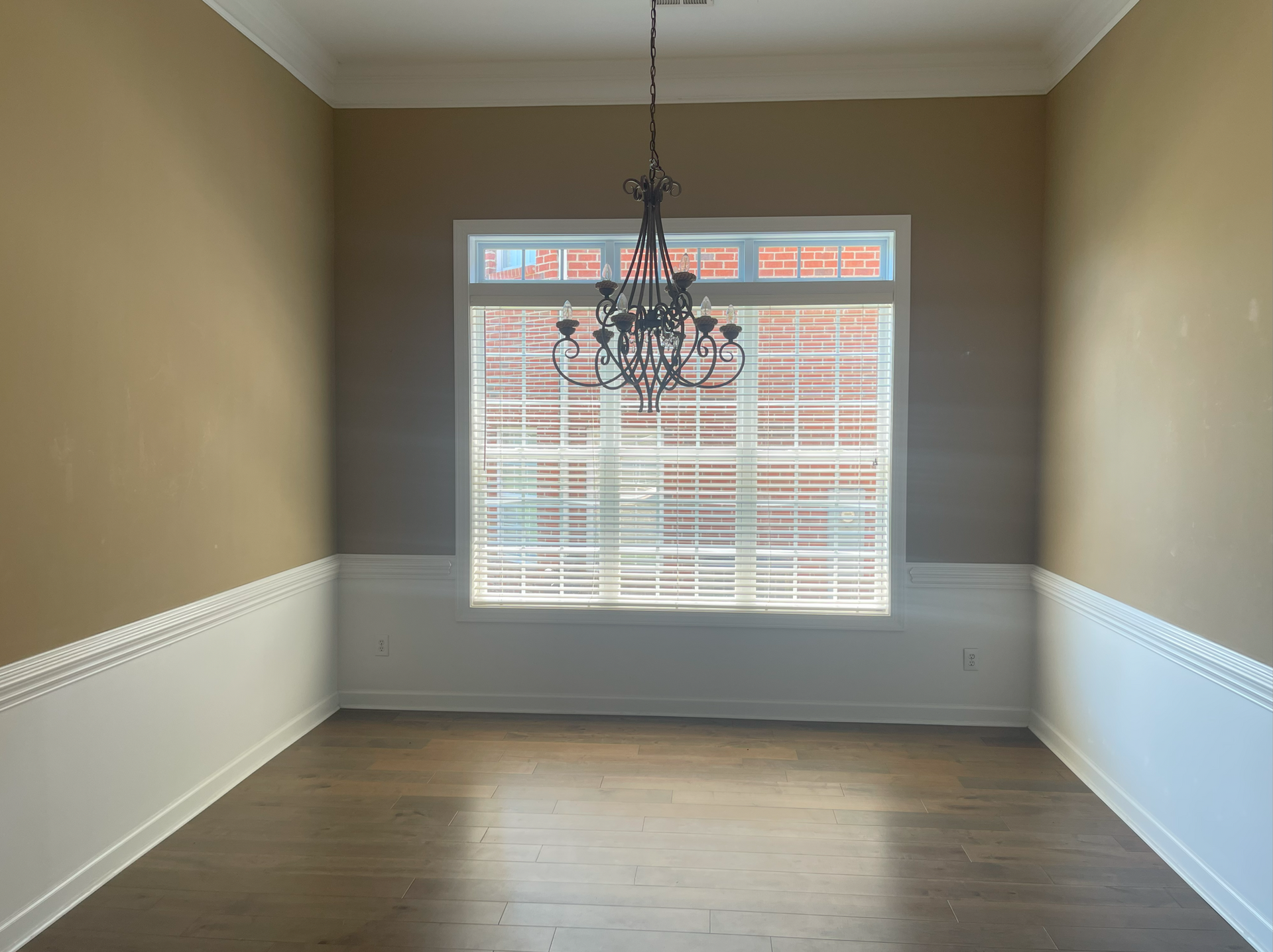 Tailored Transitional Project Reveal