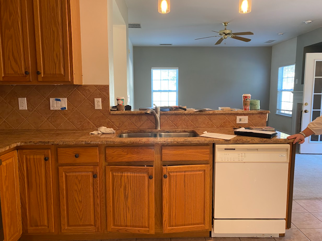 Riding the Blue Wave Project Reveal