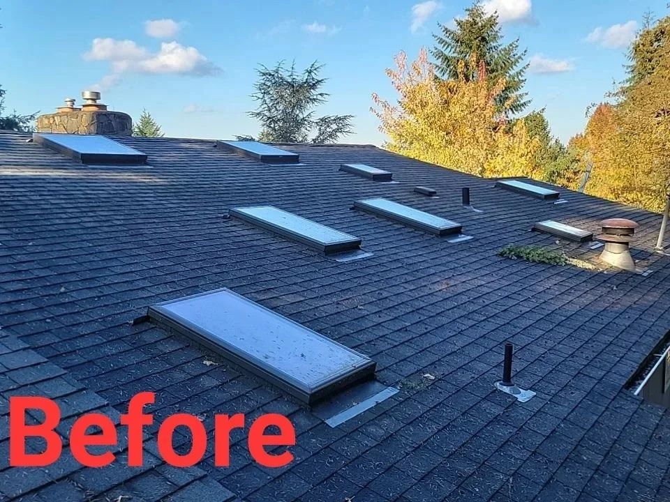 A before picture of a roof with skylights on it