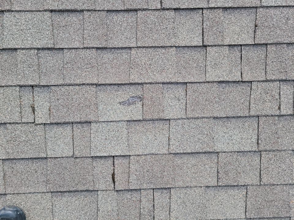 Close up of damaged shingles on home in Eugene, OR