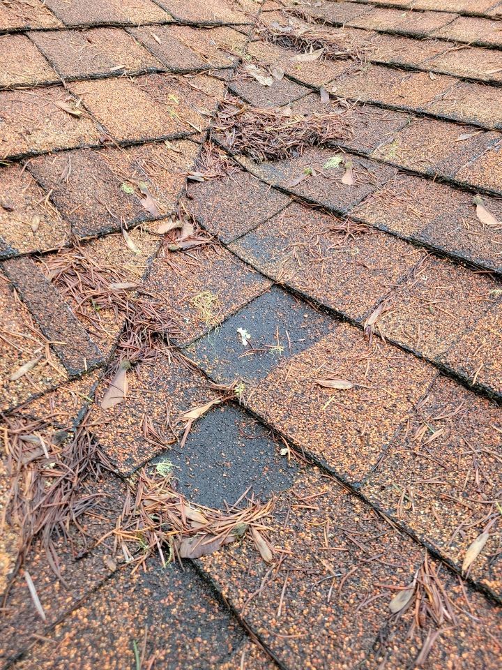 Close-up of missing shingles on a roof in Eugene, Oregon