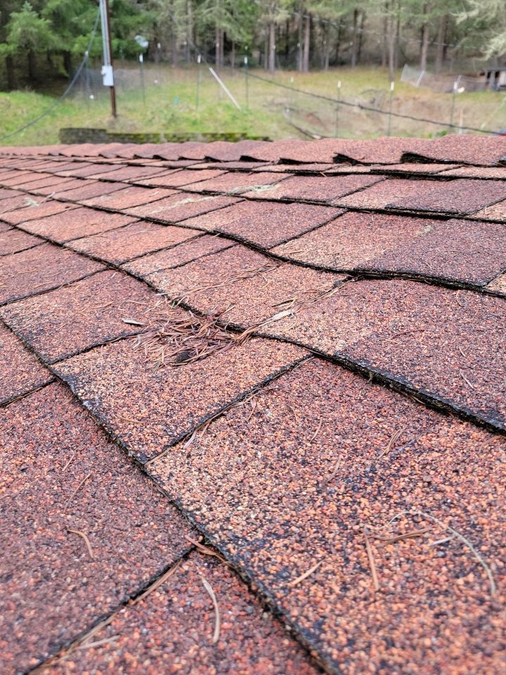 Close-up of sagging roof in Eugene, OR.