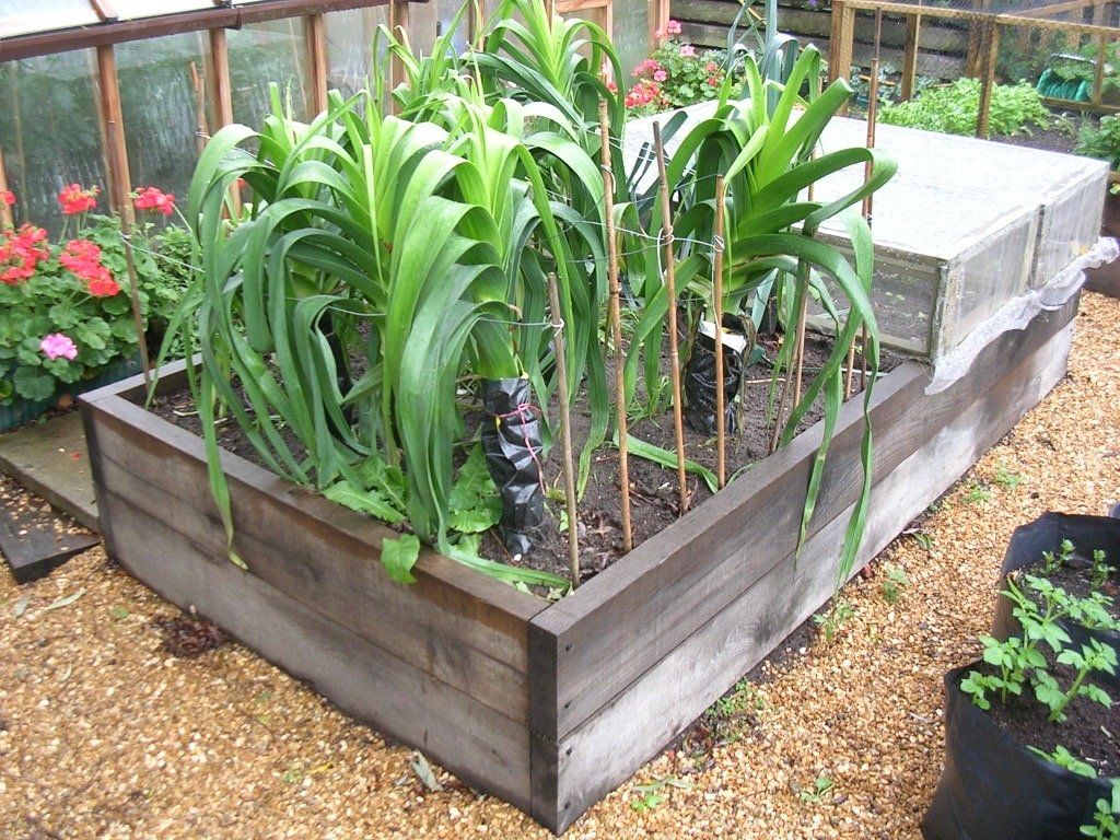 new oak boards vegetable beds