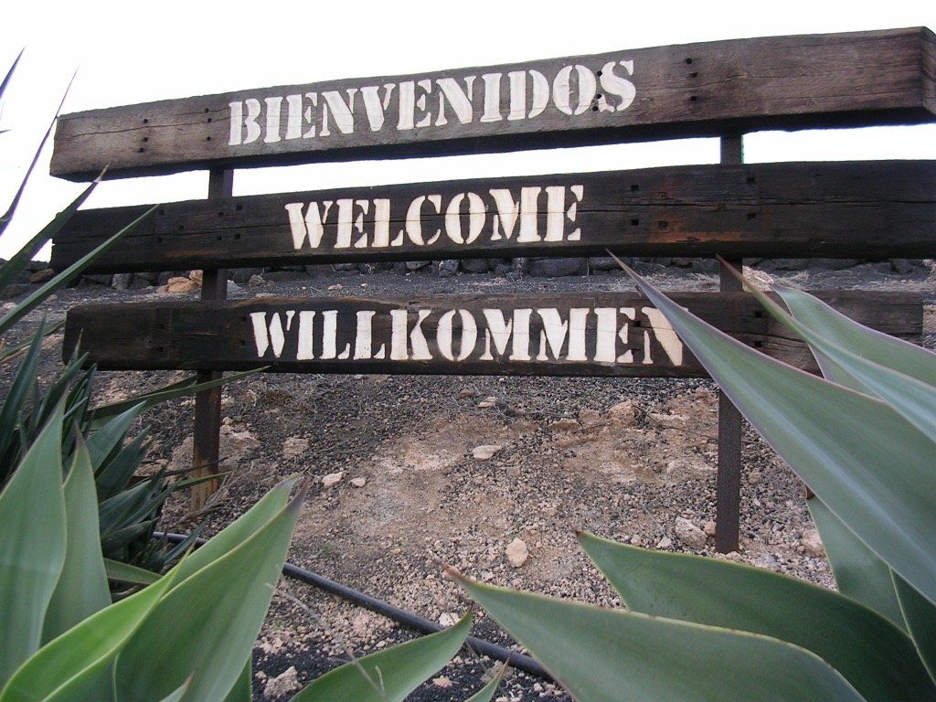 welcome to rustic touch