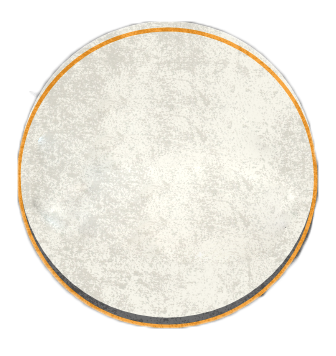 Discovery & Understanding