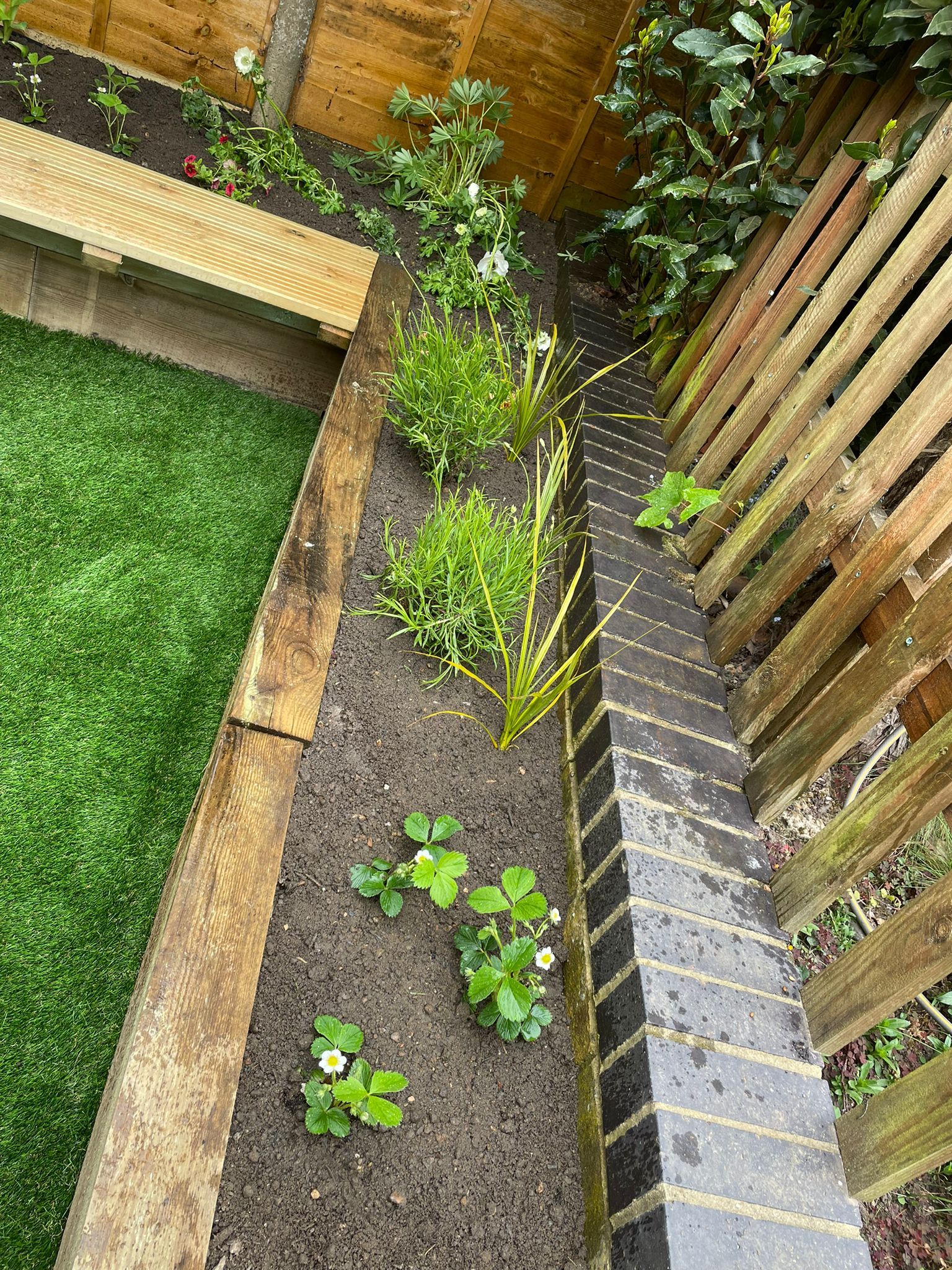 Flowerbeds and fencing