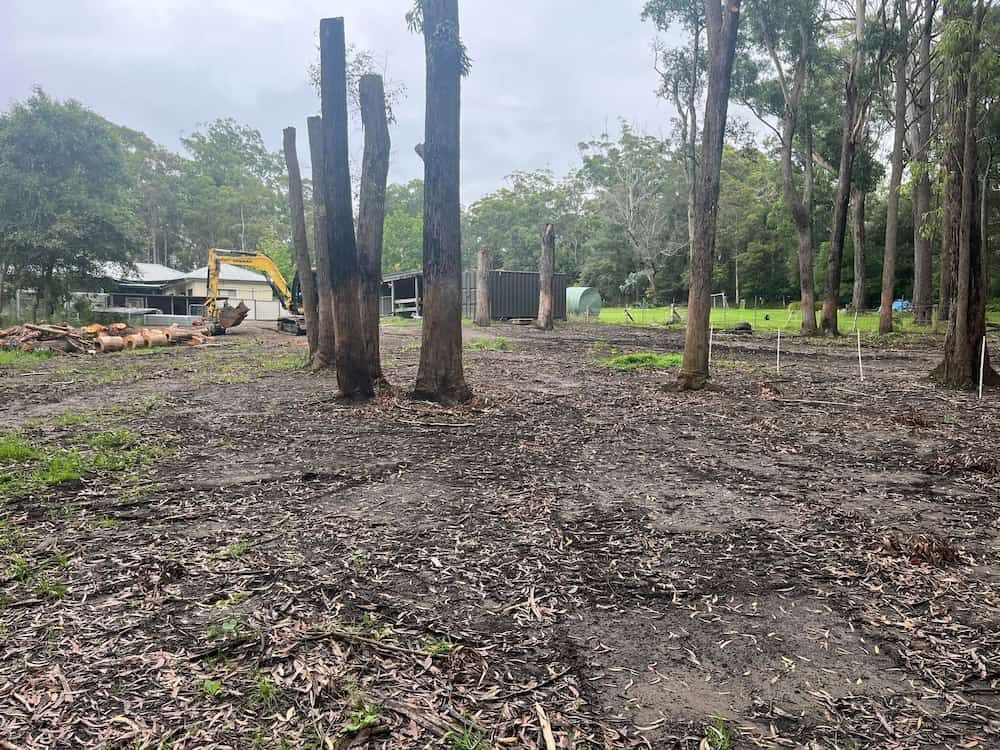 A Lot of Trees Are Being Cut Down in a Forest — BeCivil in Huskisson, NSW