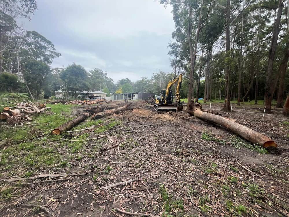 A Lot of Logs Are Laying on the Ground in a Field — BeCivil in Tomerong, NSW