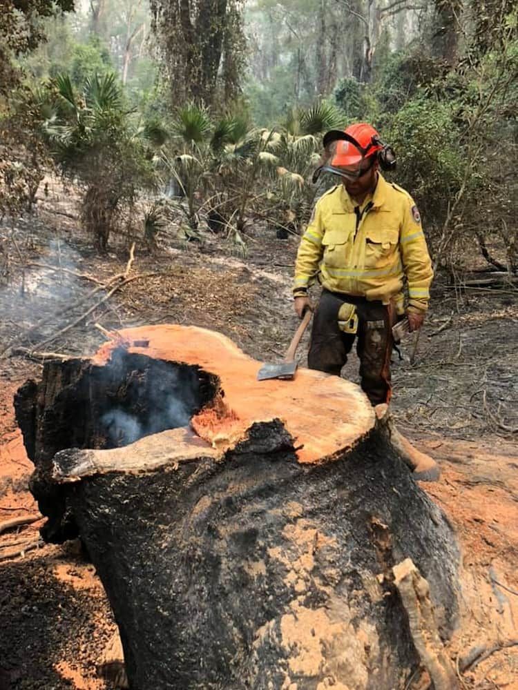 A Man is Standing Next to a Large Tree Stump in the Woods — BeCivil in Bomaderry, NSW