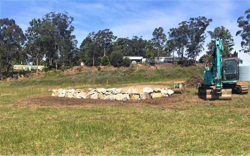 A Green Excavator Is In A Grassy Field With Trees In The Background — Blue Dog Landscape Supplies In Newee Creek, NSW