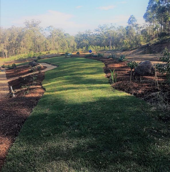 A Path Going Through A Grassy Field With Trees In The Background — Blue Dog Landscape Supplies In Newee Creek, NSW