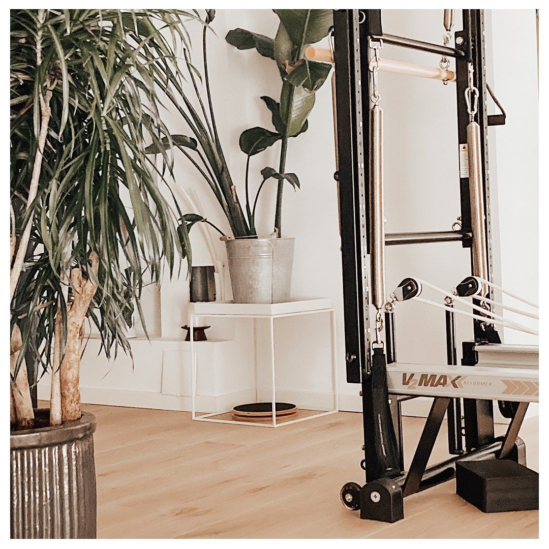 A pilates reformer is sitting in a room next to a potted plant.