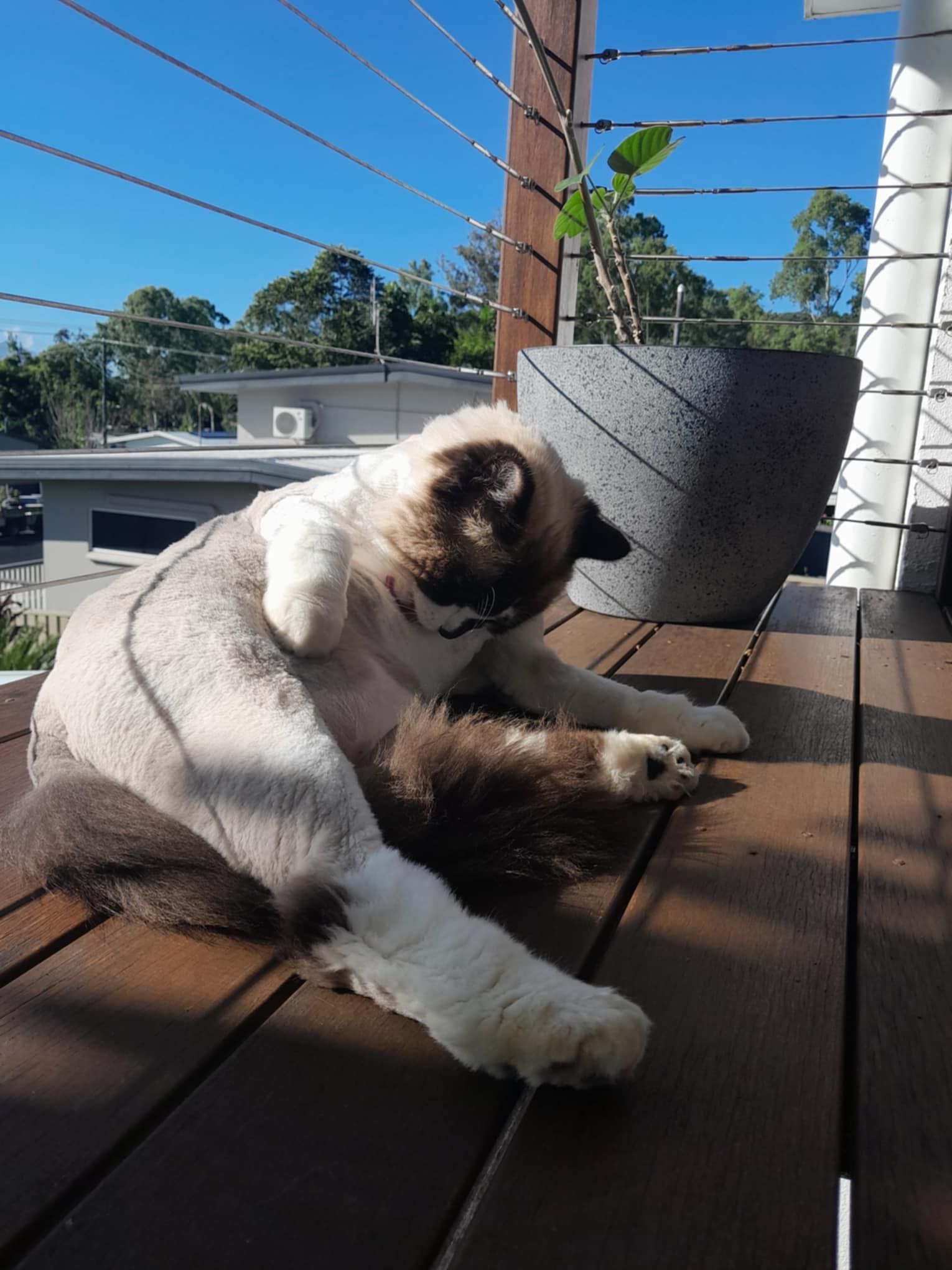 A woman is holding a black and white puppy in her arms