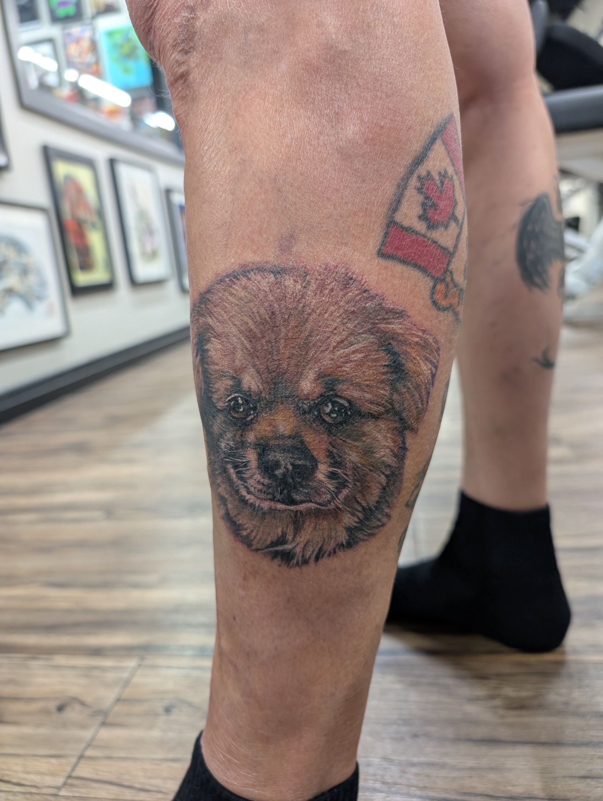 Dog Portrait Tattoo by Kevin Sherritt at Black Gold Tattoo Co in Edmonton Alberta Canada