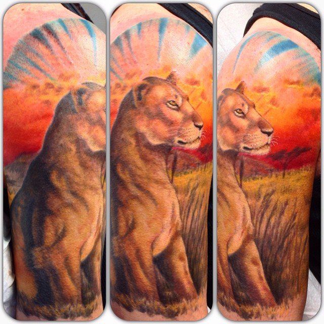 Lioness Tattoo by Steve Hayes at Black Gold Tattoo Co in Edmonton Alberta Canada