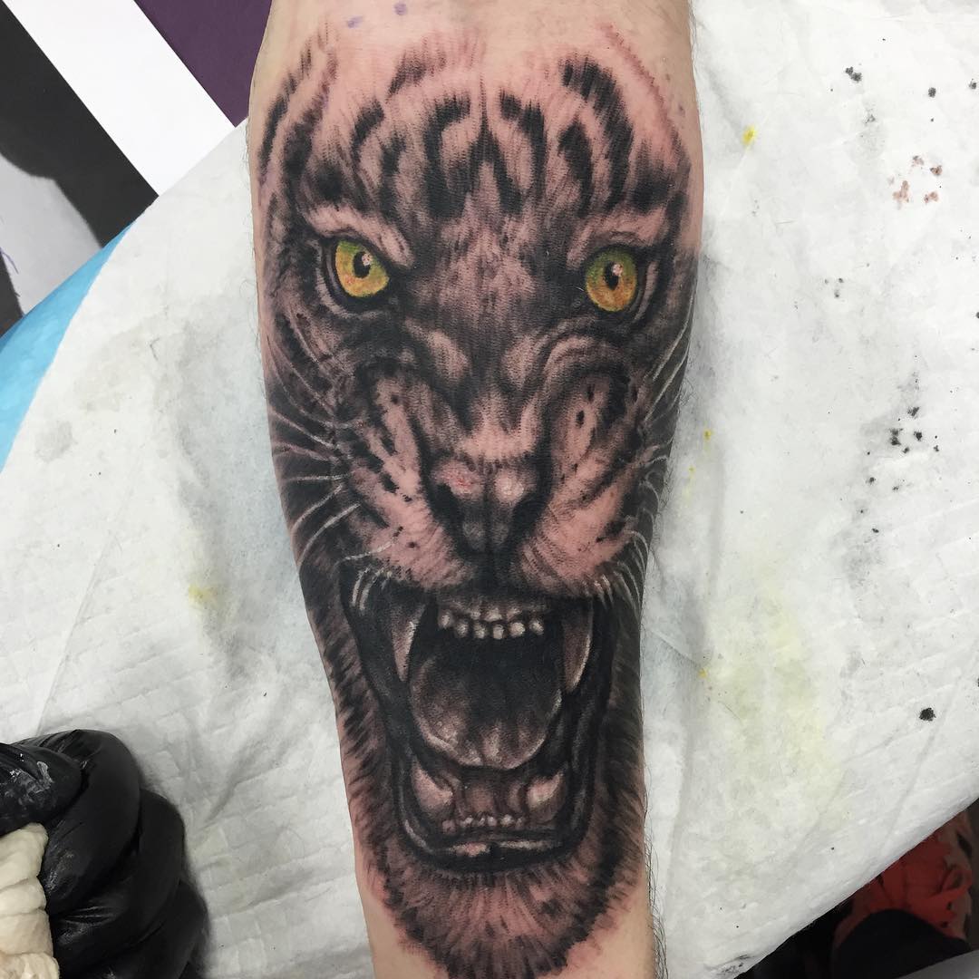 Tiger Tattoo by Steve Hayes at Black Gold Tattoo Co in Edmonton Alberta Canada