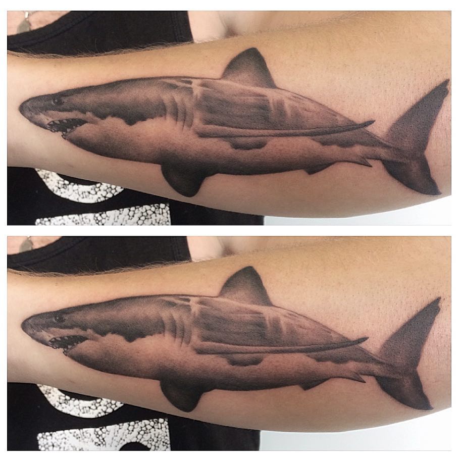 Great White Shark Tattoo by Chad Lavers at Crimson Empire Tattoo in Edmonton Alberta Canada