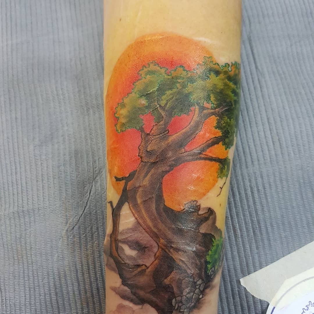 Sun and Tree Tattoo by Kevin Sherritt at Black Gold Tattoo Co in Edmonton Alberta Canada