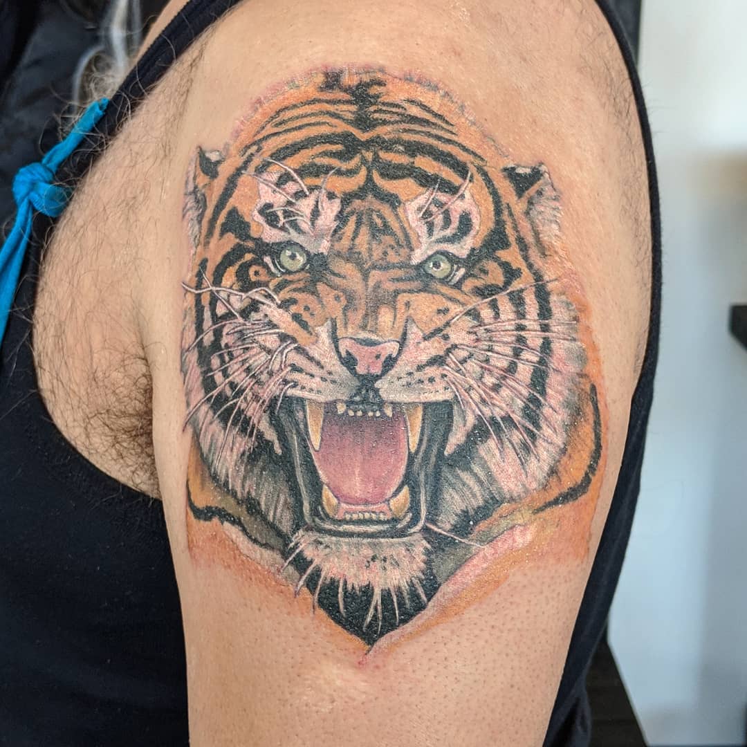 Tiger Tattoo by Sheila Anderson at Crimson Empire Tattoo in Edmonton Alberta Canada