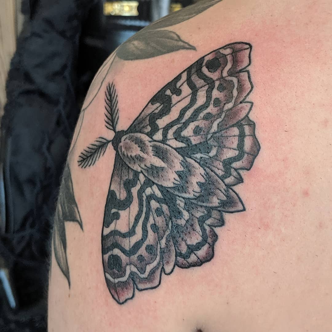 Moth Tattoo by Sheila Anderson at Crimson Empire Tattoo in Edmonton Alberta Canada