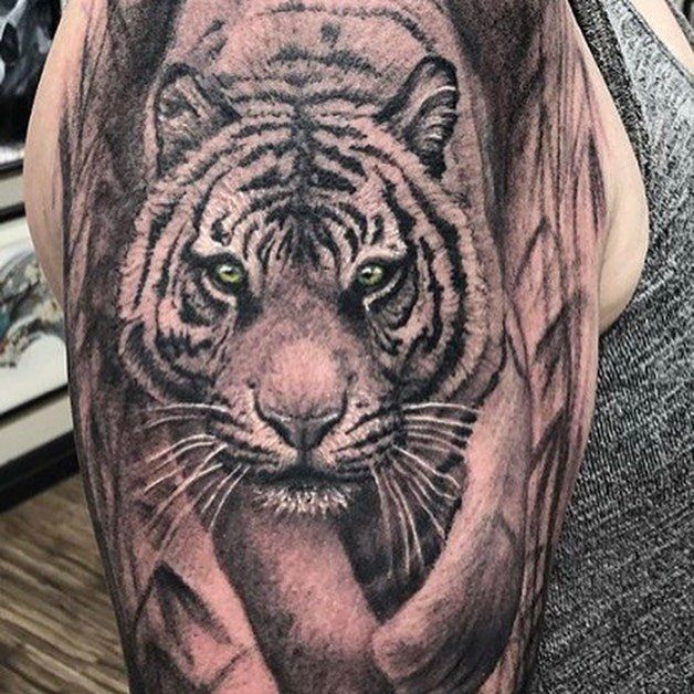 Tiger Tattoo by Steve Hayes at Black Gold Tattoo Co in Edmonton Alberta Canada