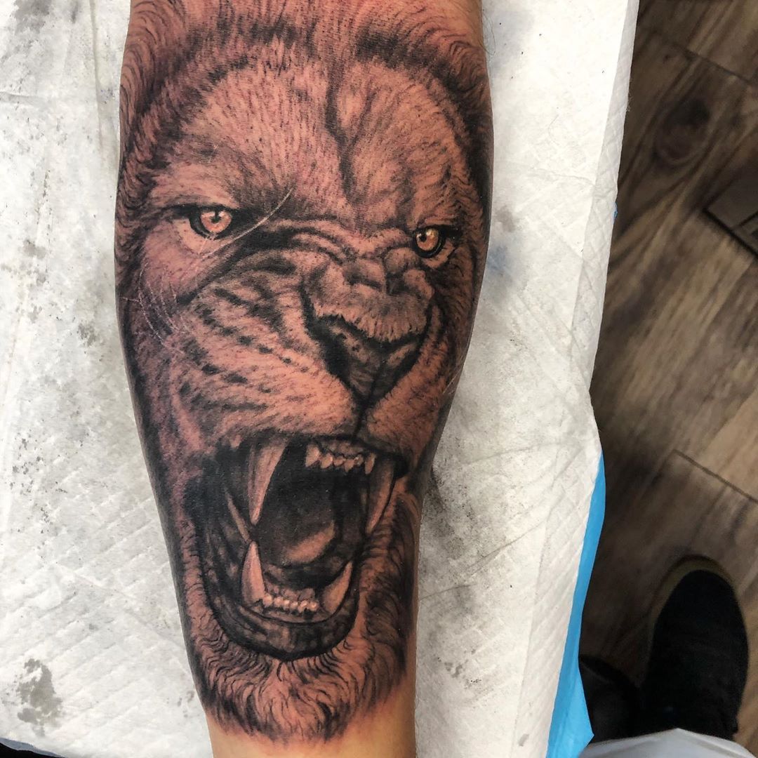 Lion Tattoo by Steve Hayes at Black Gold Tattoo Co in Edmonton Alberta Canada