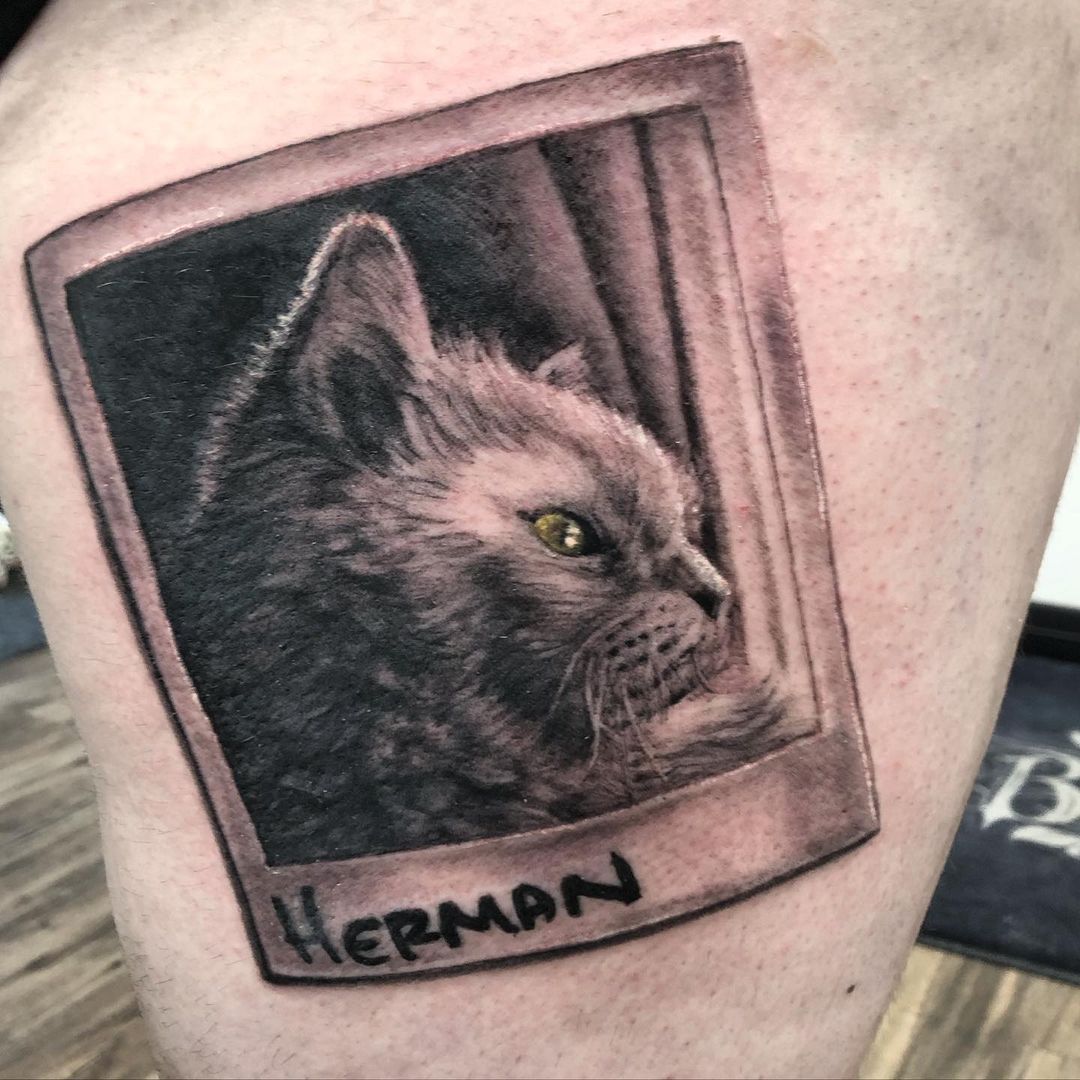 Cat in Polaroid Tattoo by Steve Hayes at Black Gold Tattoo Co in Edmonton Alberta Canada