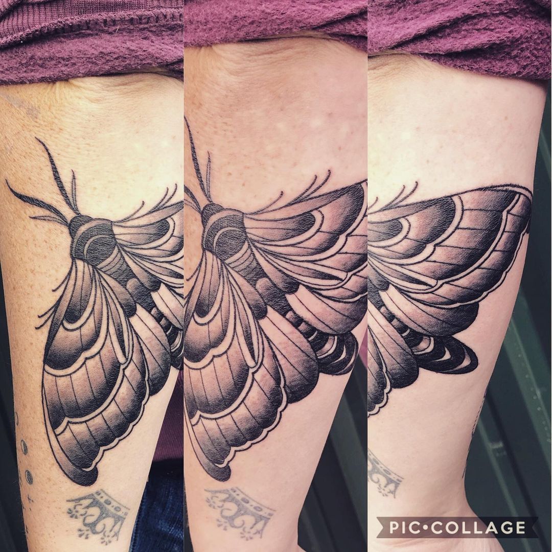 Moth Tattoo by Trevor Pelletier at Black Gold Tattoo Co in Edmonton Alberta Canada