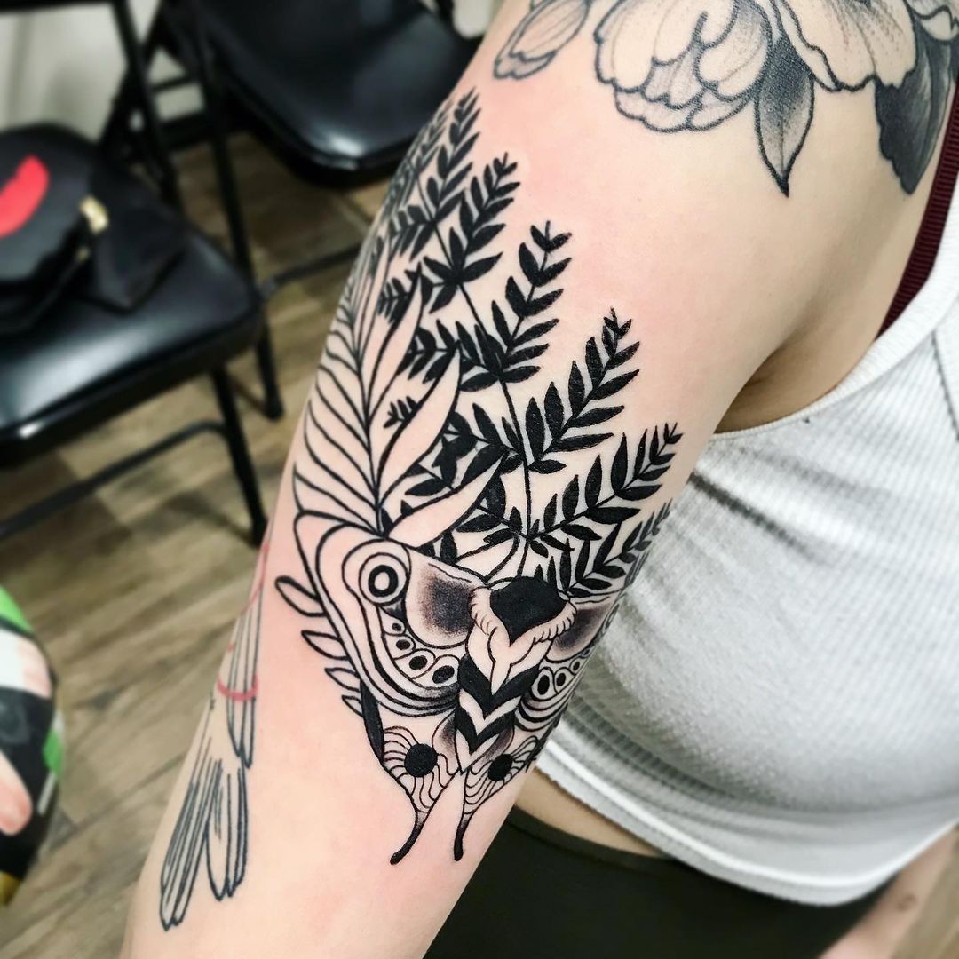 Moth and Fern Tattoo by Jess Alther at Black Gold Tattoo Co in Edmonton Alberta Canada