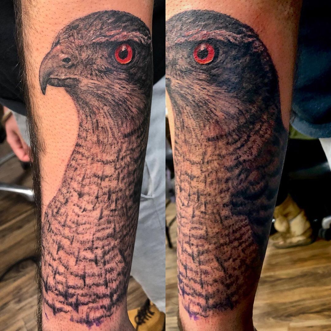Hawk Tattoo by Steve Hayes at Black Gold Tattoo Co in Edmonton Alberta Canada