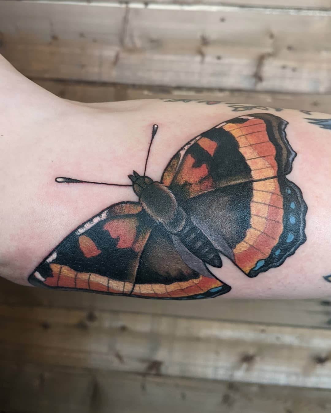 Moth Tattoo by Sheila Anderson at Crimson Empire Tattoo in Edmonton Alberta Canada