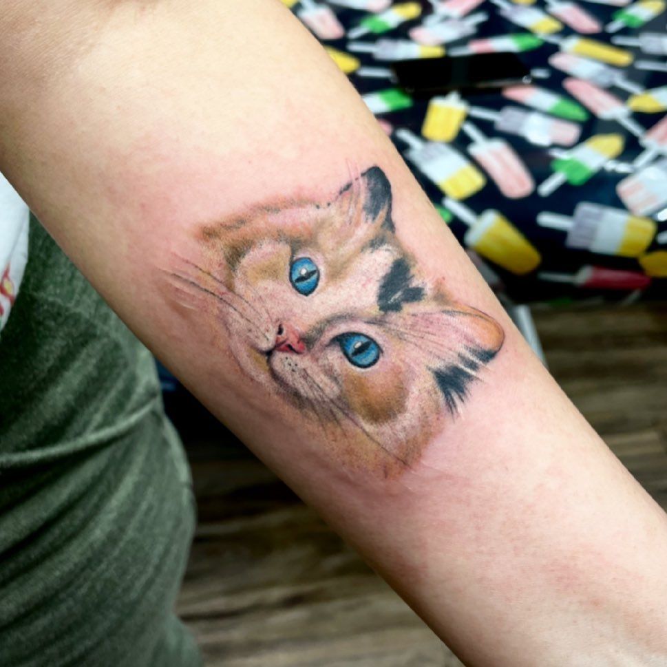 Cat Portrait Tattoo by Jess Alther at Black Gold Tattoo Co in Edmonton Alberta Canada