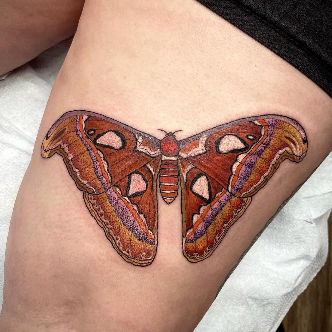 Moth Tattoo by Jess Alther at Black Gold Tattoo Co in Edmonton Alberta Canada