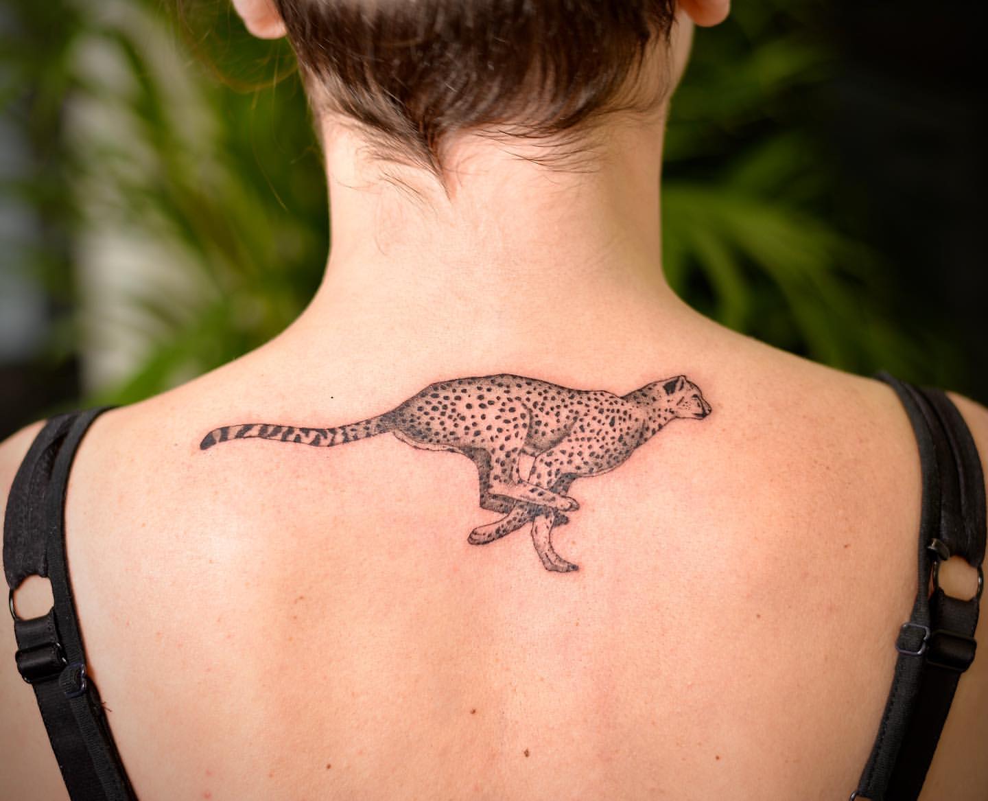 Cheetah Tattoo by Anastasiya at Silver Ghost Tattoo in Edmonton Alberta Canada