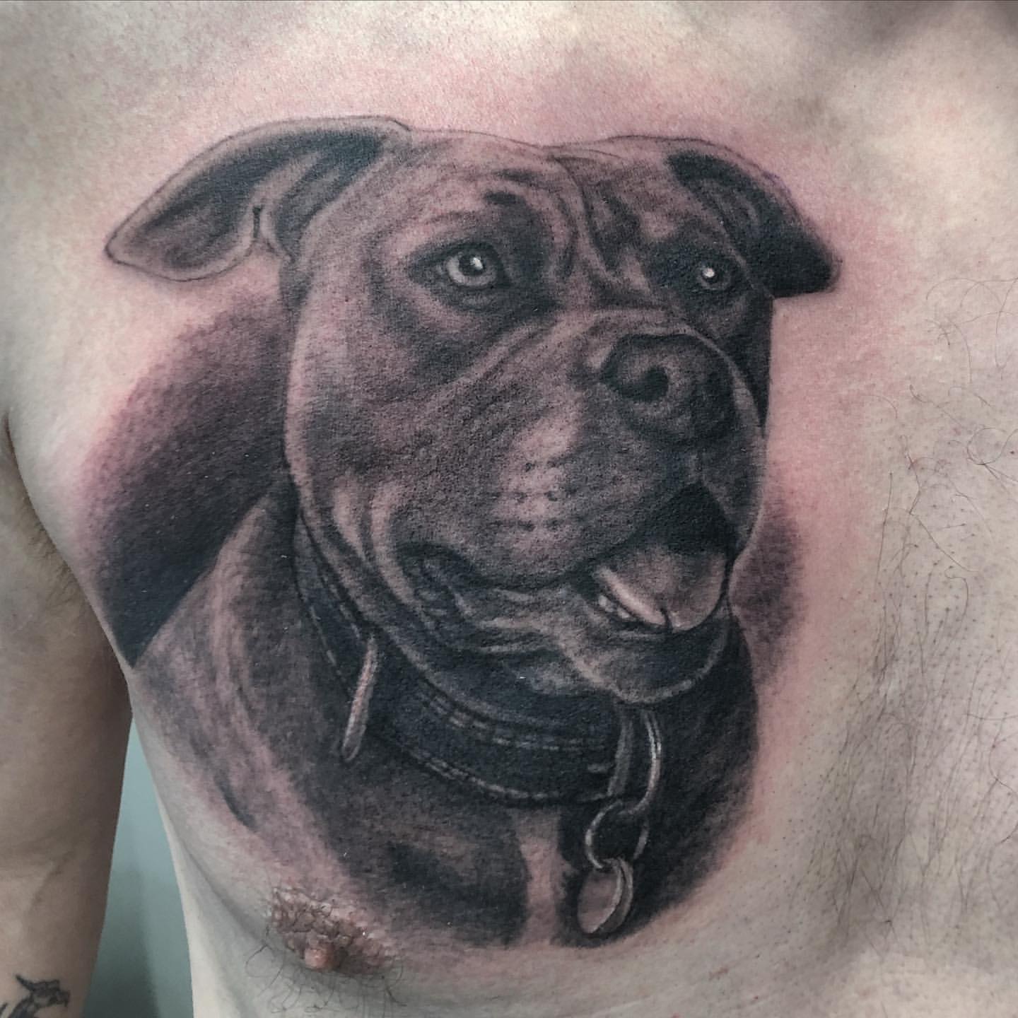 Dog Portrait Tattoo by Steve Hayes at Black Gold Tattoo Co in Edmonton Alberta Canada