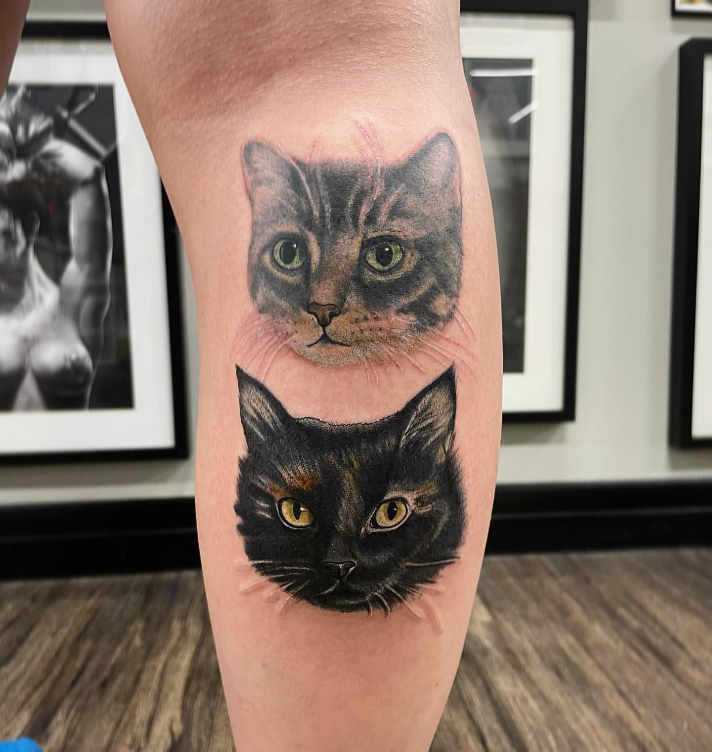 Cat Portraits Tattoo by Jess Alther at Black Gold Tattoo Co in Edmonton Alberta Canada