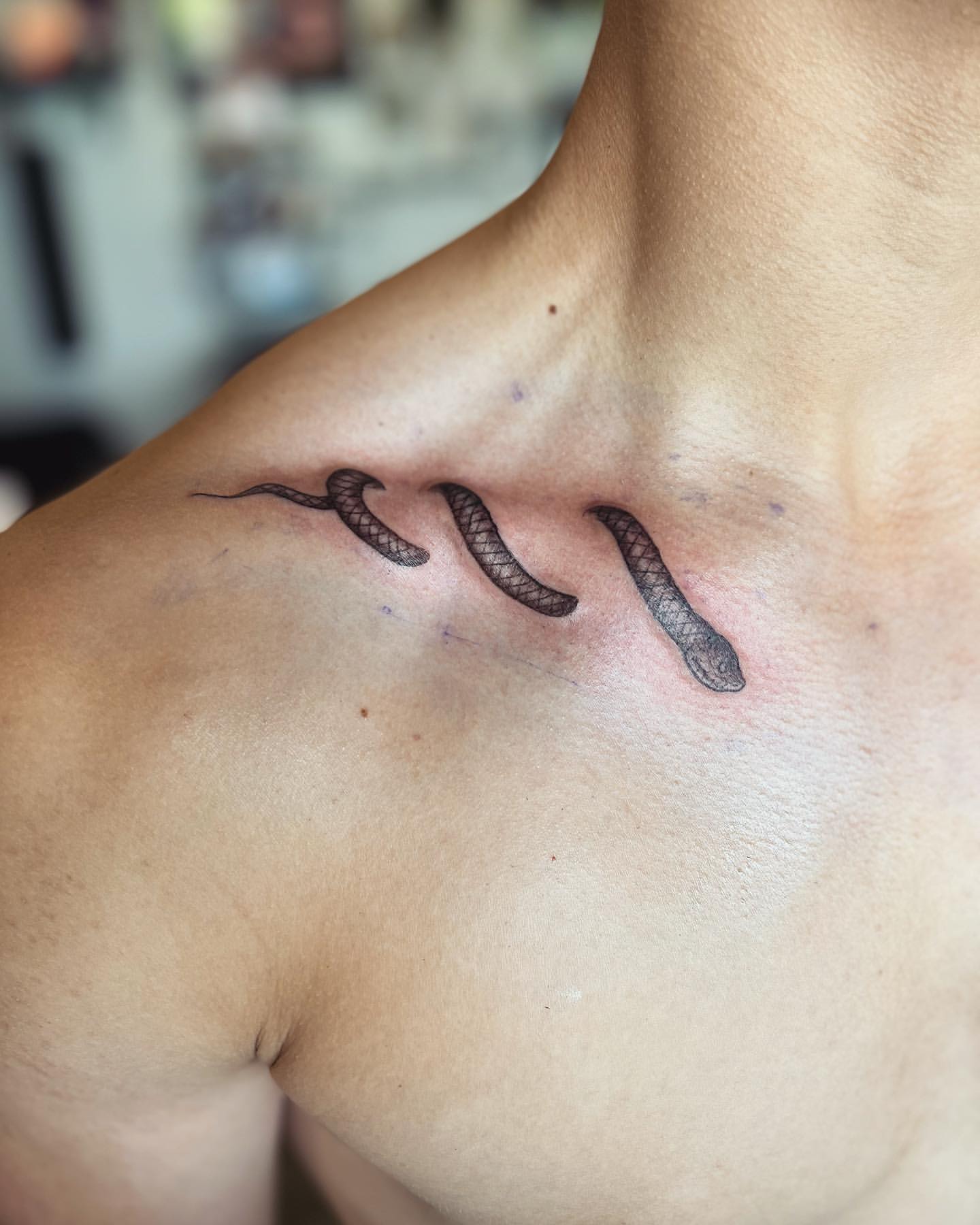Snake Tattoo by Vinny Nguyen at Crimson Empire Tattoo in Edmonton Alberta Canada