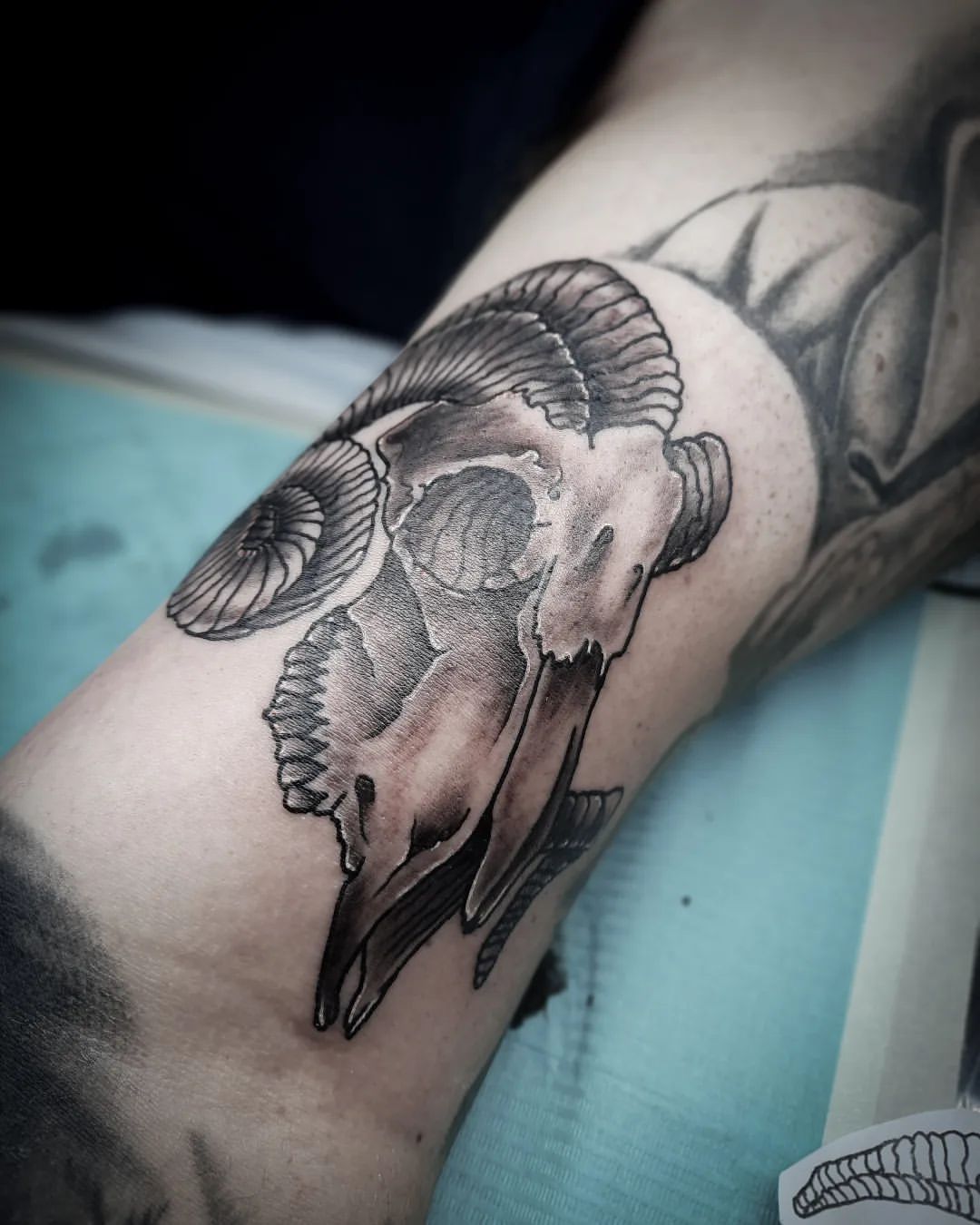 Ram Skull Tattoo by Alex at Black Gold Tattoo Co in Edmonton Alberta Canada