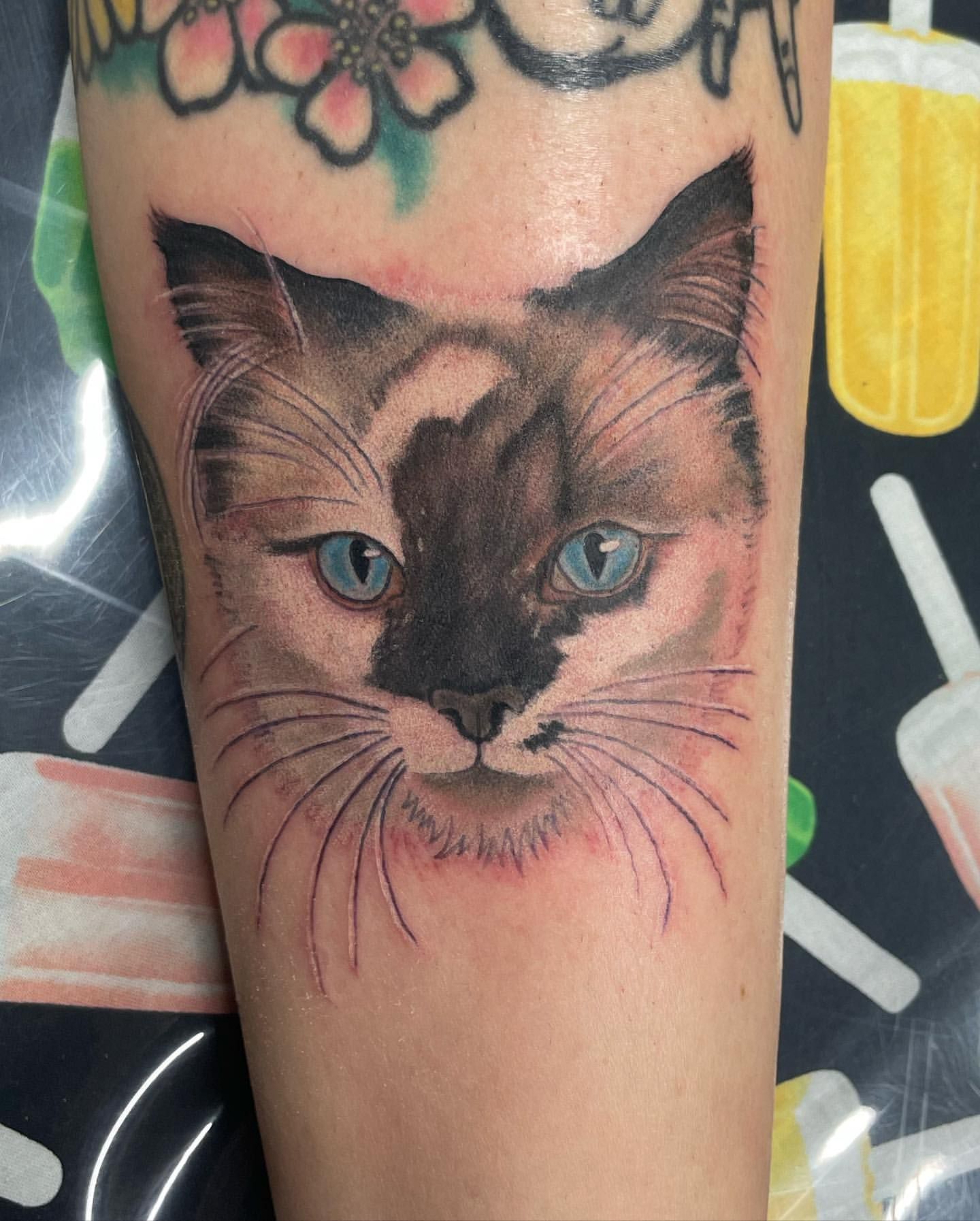 Cat Portrait Tattoo by Jess Alther at Black Gold Tattoo Co in Edmonton Alberta Canada