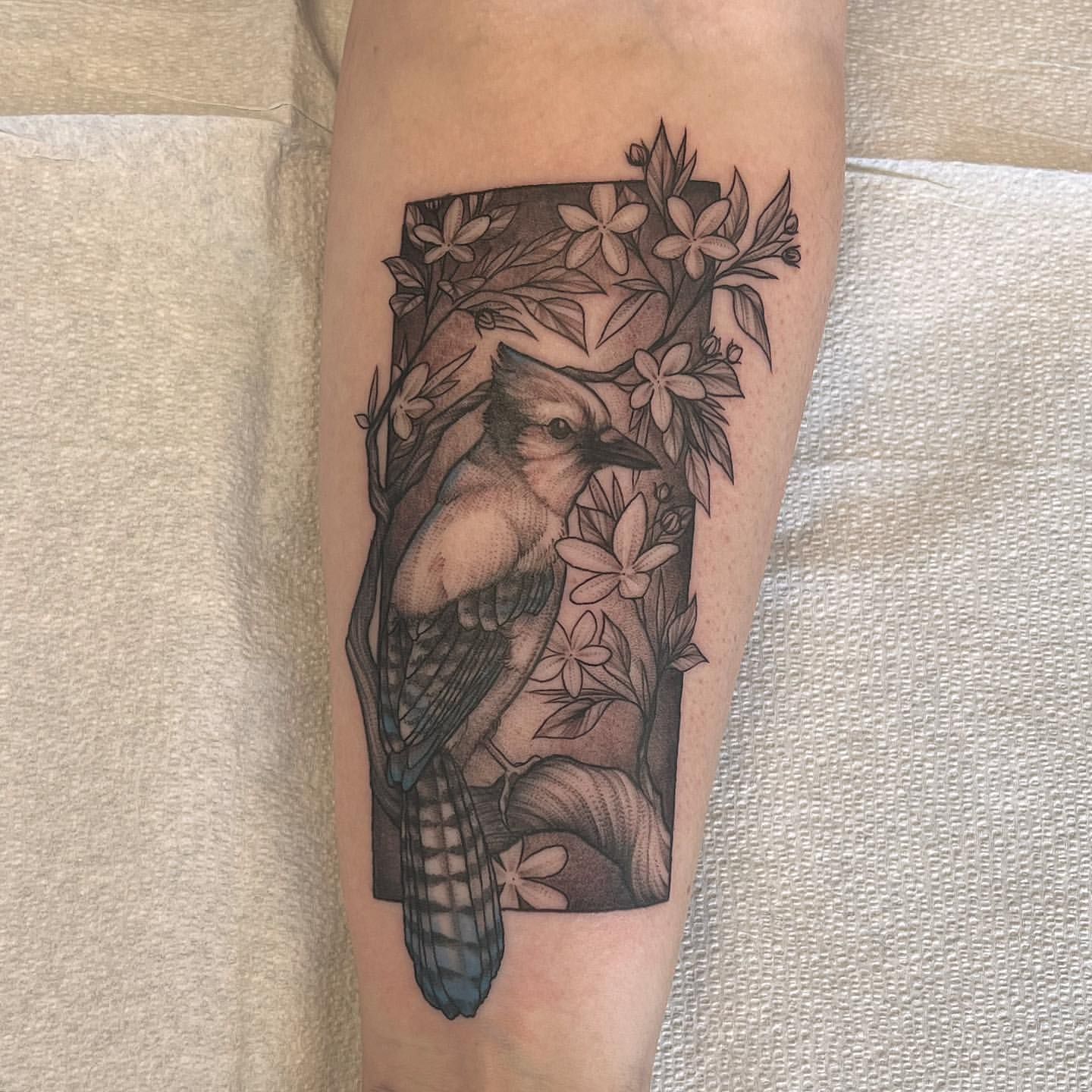 Bluejay Tattoo by Adrienne Alexander at Silver Ghost Tattoo in Edmonton Alberta Canada