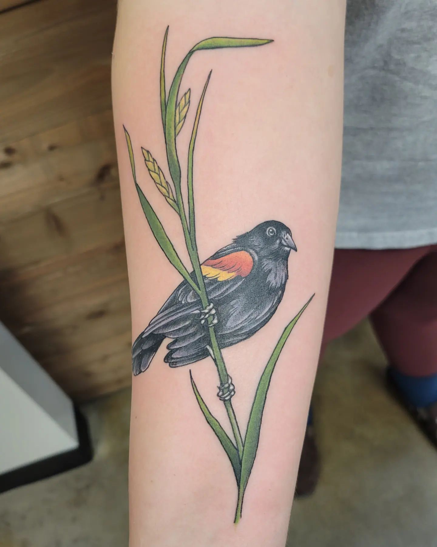 Red Wing Black Bird Tattoo by Sheila Anderson at Crimson Empire Tattoo in Edmonton Alberta Canada