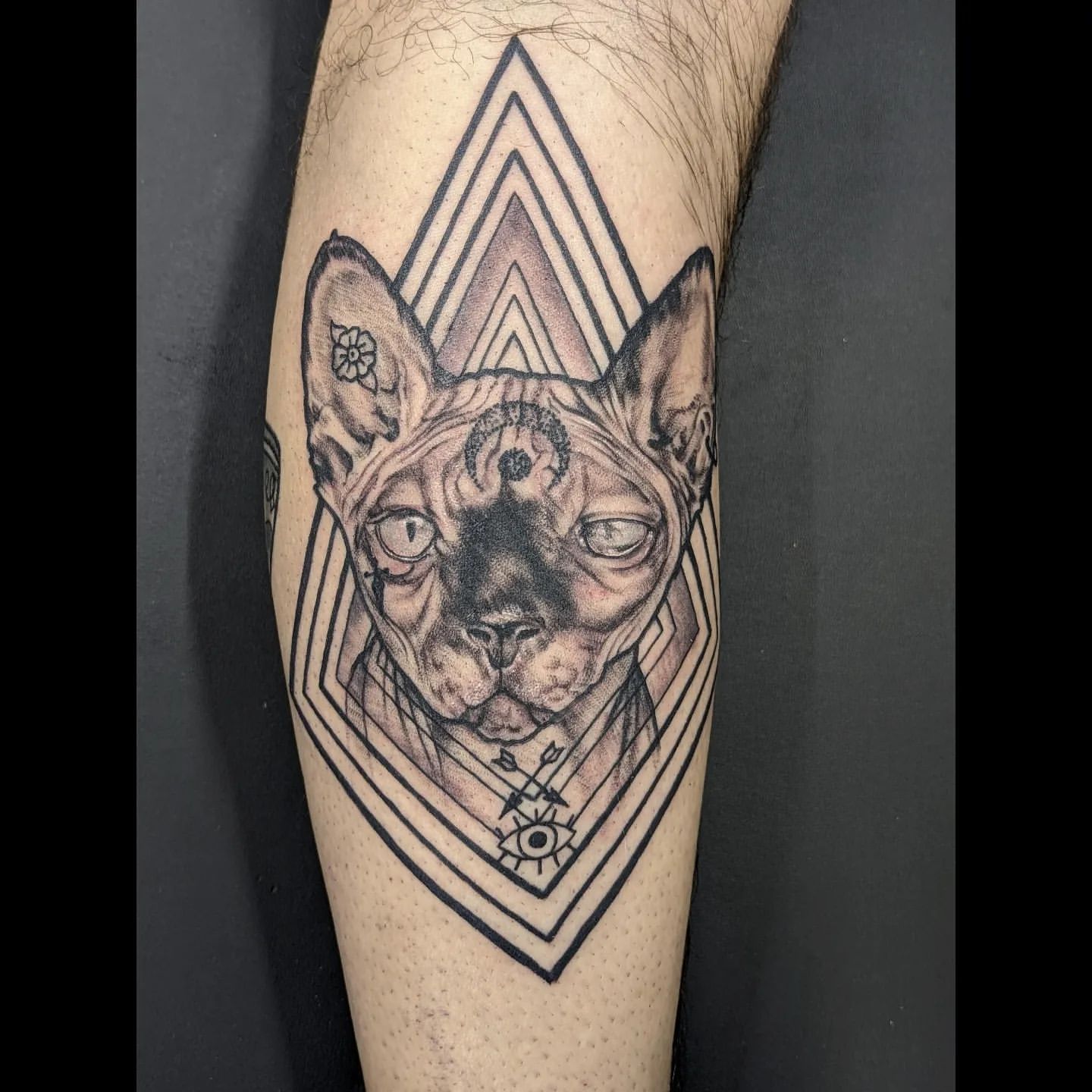 Cat Tattoo by Amber Strange at Silver Ghost Tattoo in Edmonton Alberta Canada