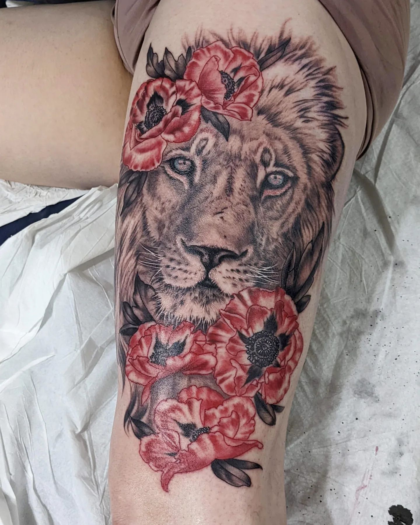 Lion and Poppies Tattoo by Amber Strange at Silver Ghost Tattoo in Edmonton Alberta Canada