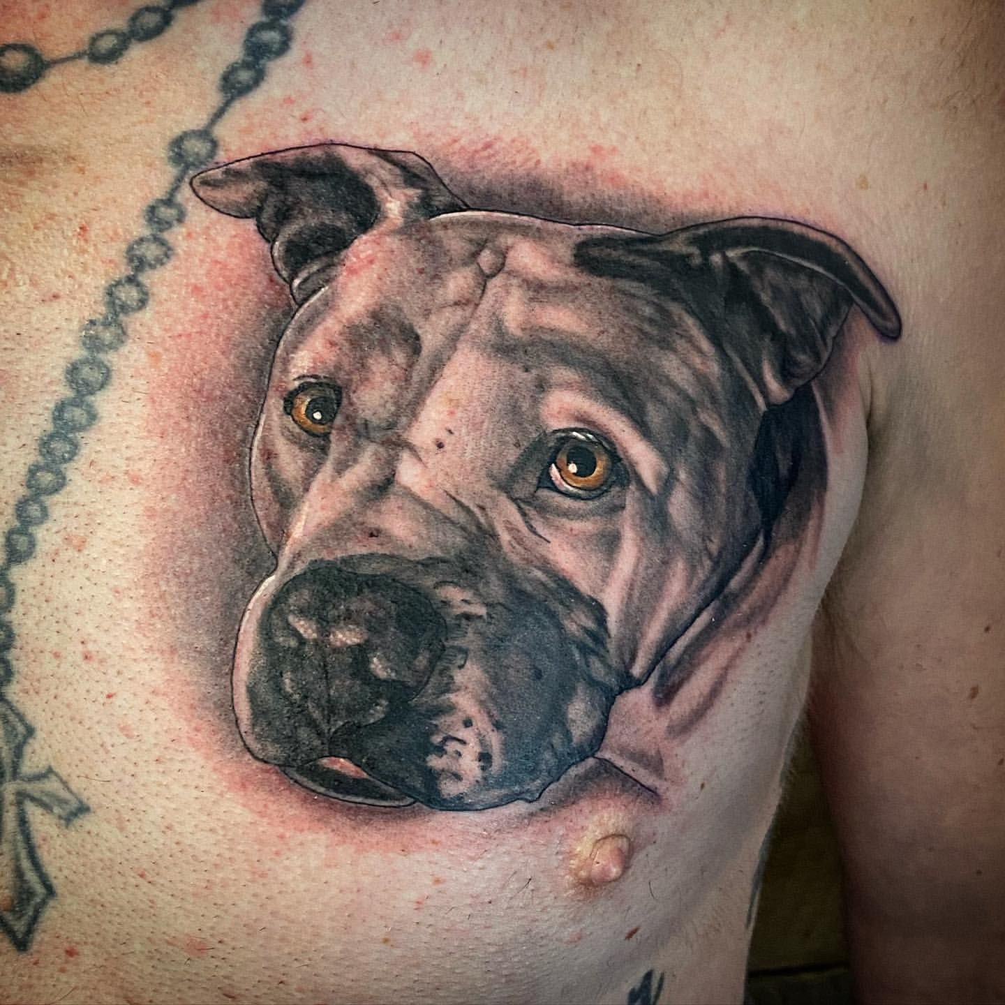Dog Portrait Tattoo by Dale Moostoos at Crimson Empire Tattoo in Edmonton Alberta Canada