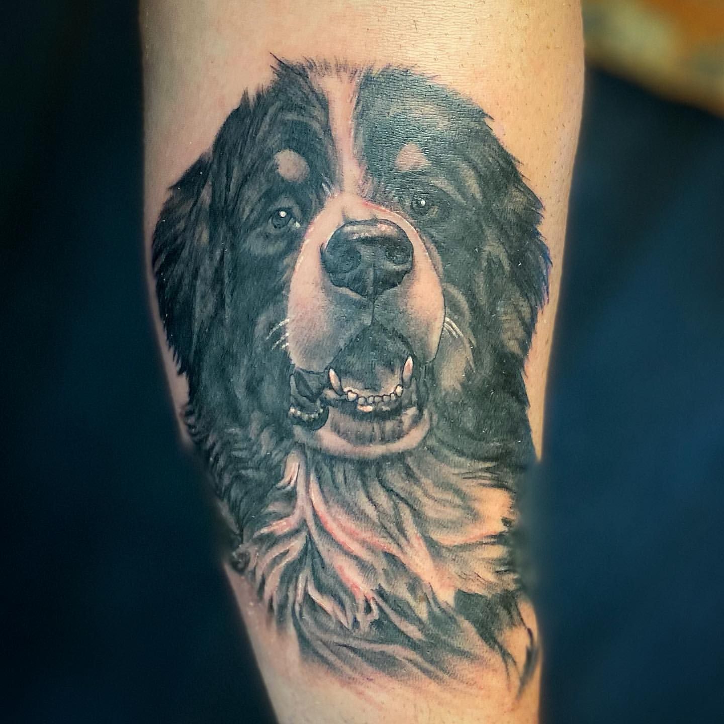 Dog Portrait Tattoo by Dale Moostoos at Crimson Empire Tattoo in Edmonton Alberta Canada
