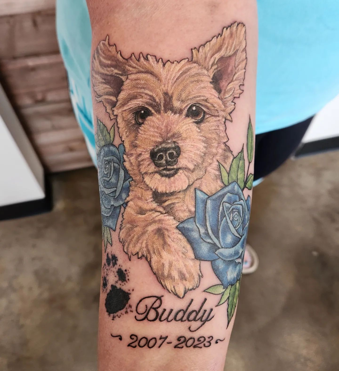 Dog Portrait Tattoo by Sheila Anderson at Crimson Empire Tattoo in Edmonton Alberta Canada
