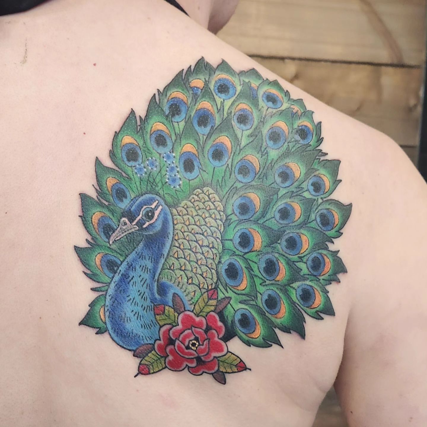 Peacock Tattoo by Sheila Anderson at Crimson Empire Tattoo in Edmonton Alberta Canada