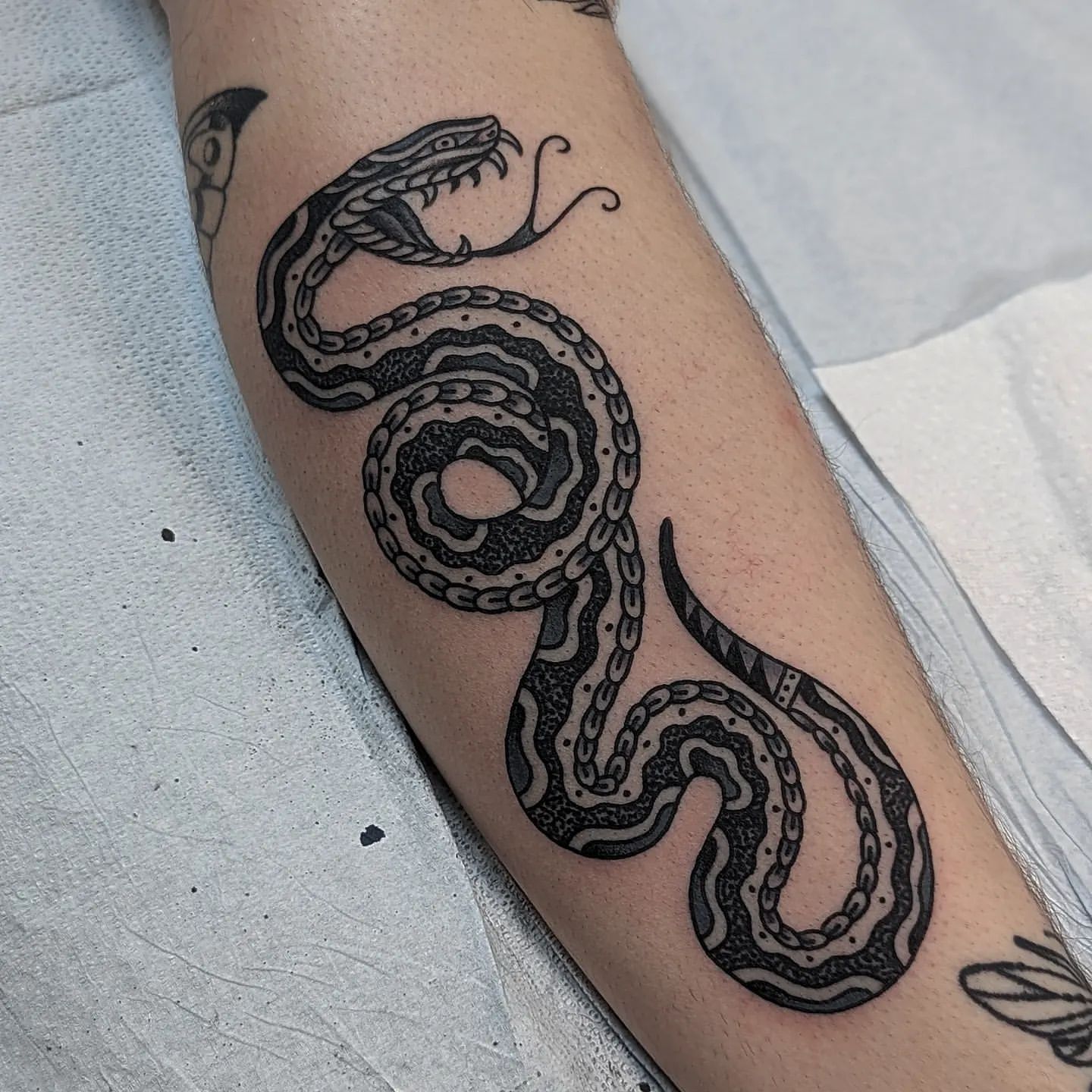 Snake Tattoo Chris Benson at Silver Ghost Tattoo in Edmonton Alberta Canada