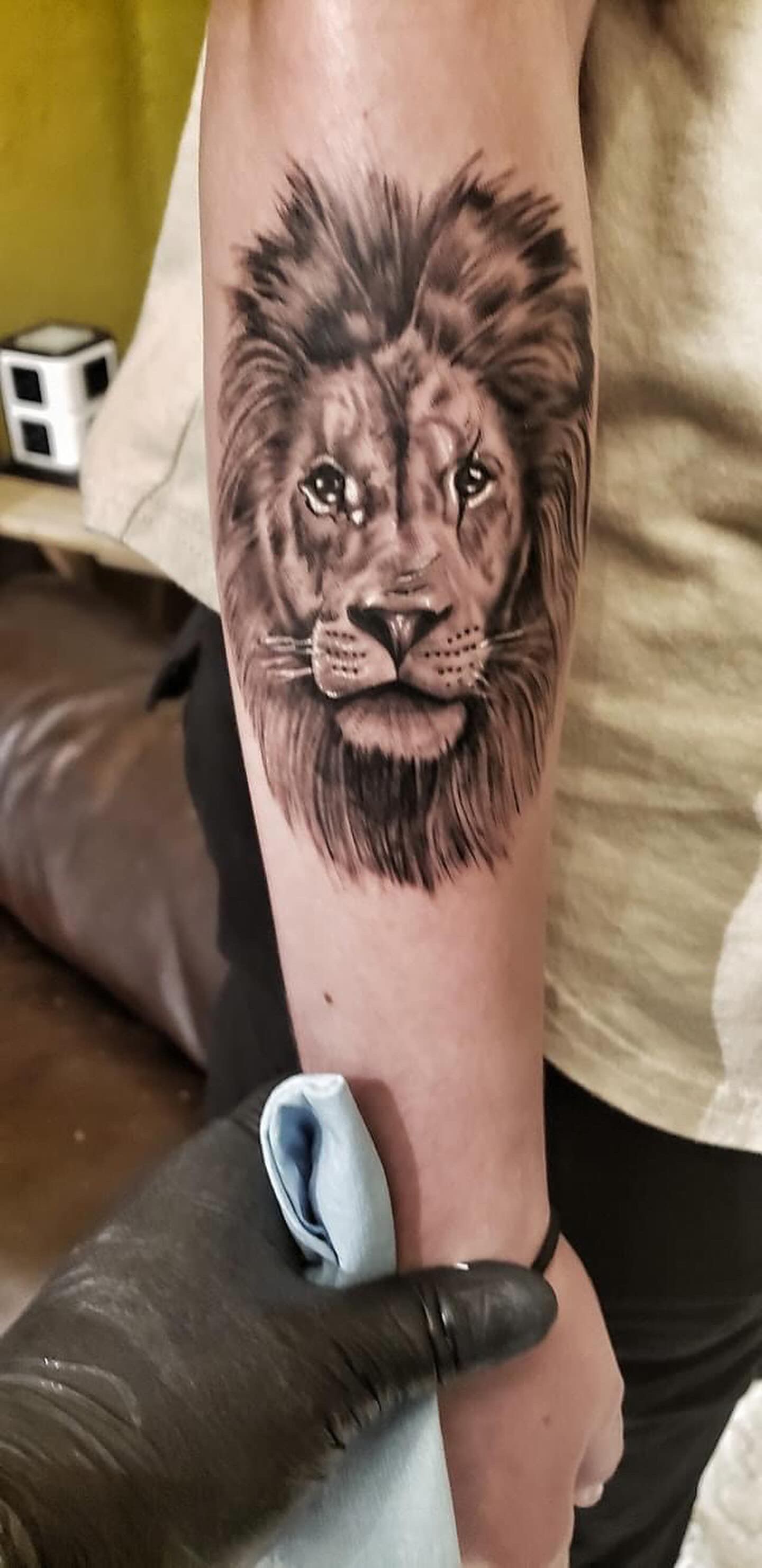 Lion Tattoo by Sly at Silver Ghost Tattoo in Edmonton Alberta Canada
